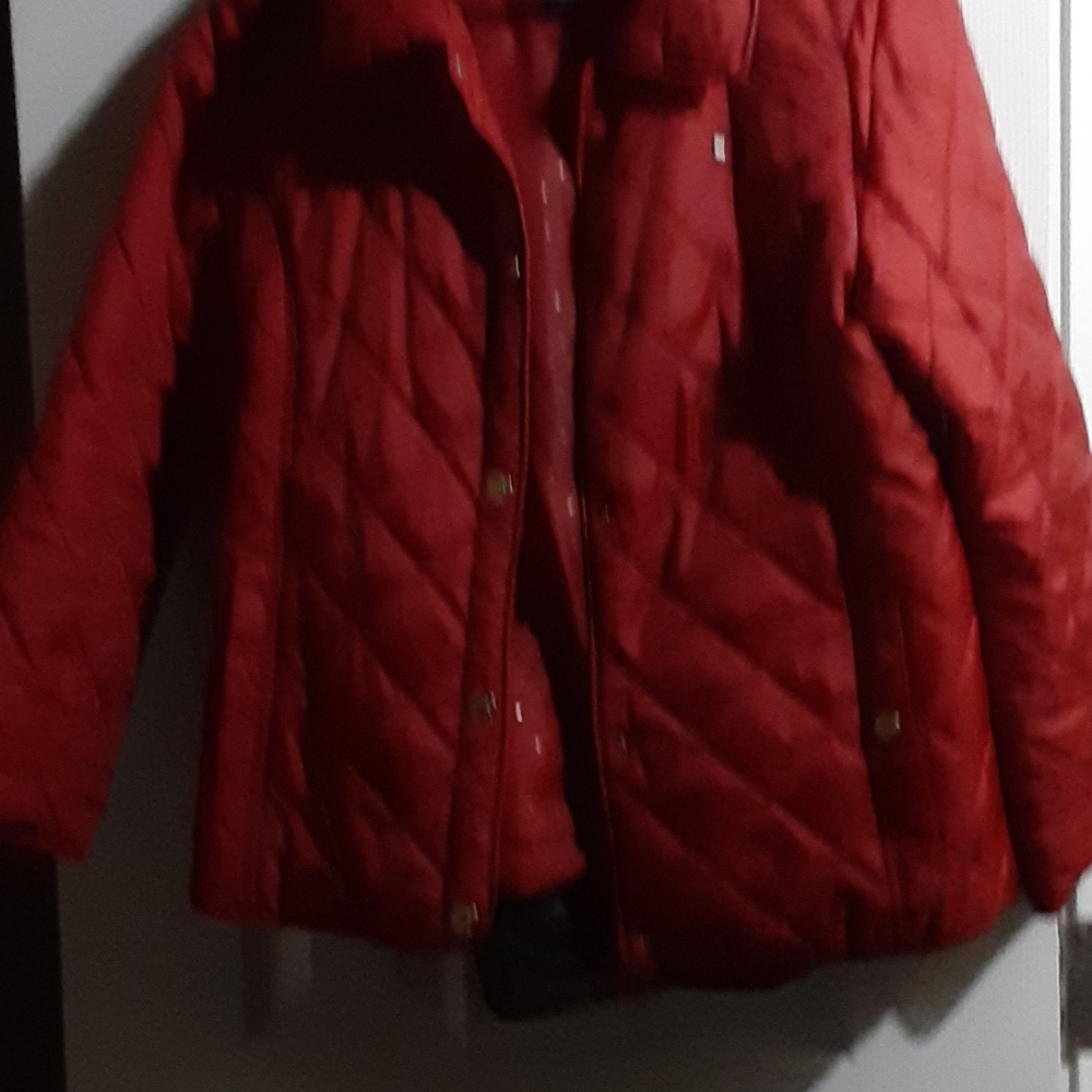 Jacket - Picture 2 of 6